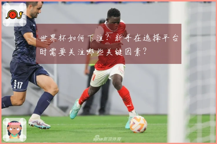 世界杯如何下注？新手在选择平台时需要关注哪些关键因素？