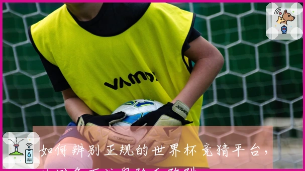 如何辨别正规的世界杯竞猜平台，以避免下注风险和陷阱