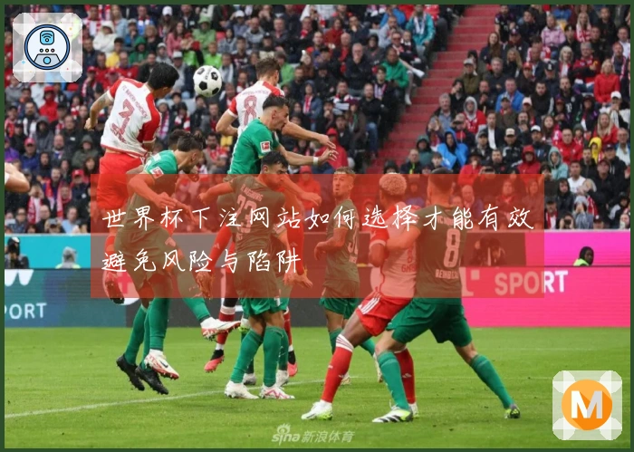 世界杯下注网站如何选择才能有效避免风险与陷阱