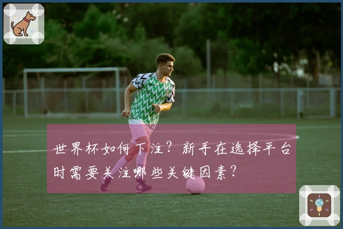 世界杯如何下注？新手在选择平台时需要关注哪些关键因素？